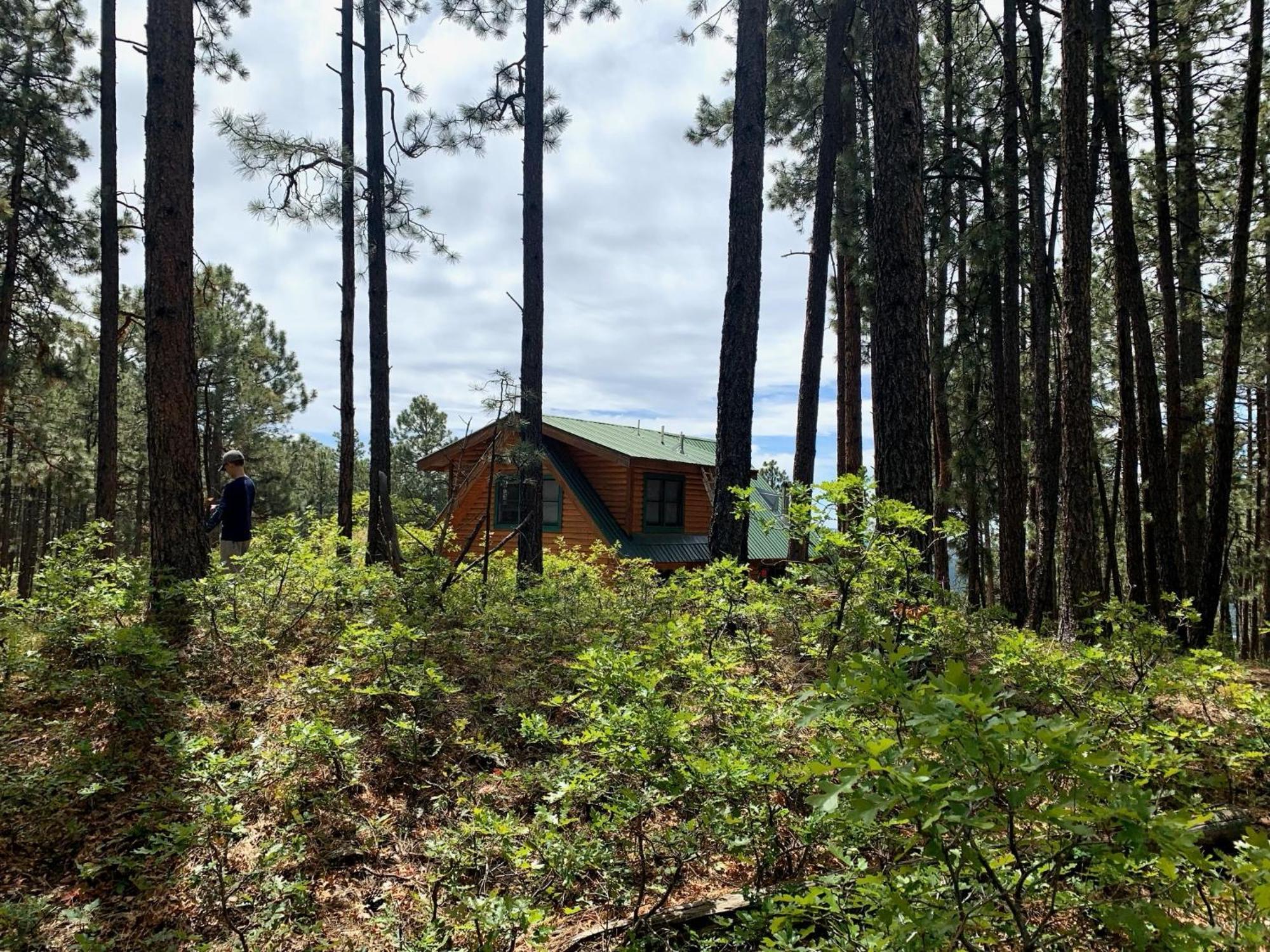 Bear Paw Lodge & Vacation Homes Vallecito 外观 照片